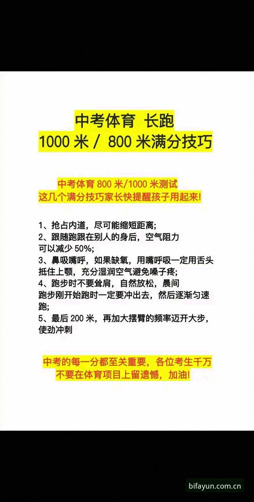 资深用户亲测：必发体育使用教程评测，从入门到精通的实战心得